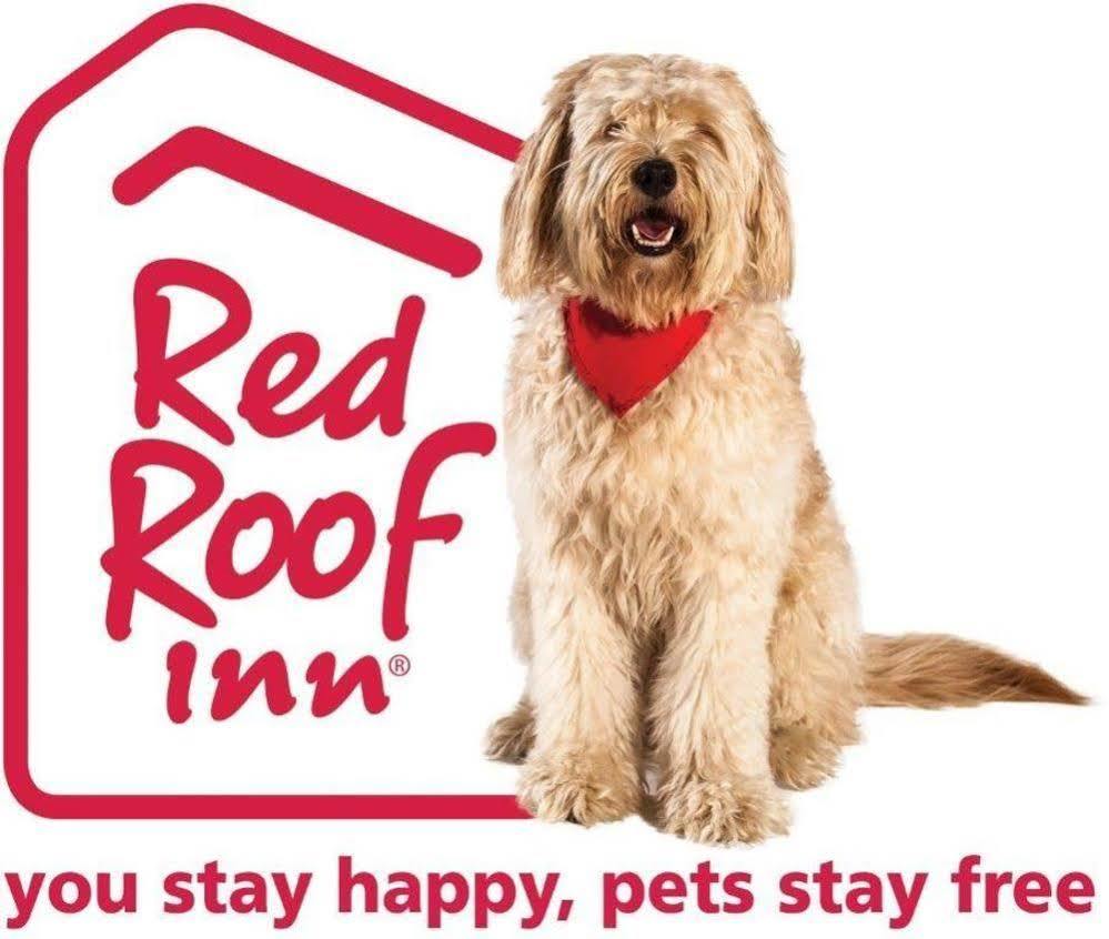 Red Roof Inn พอร์ตแลนด์ ภายนอก รูปภาพ